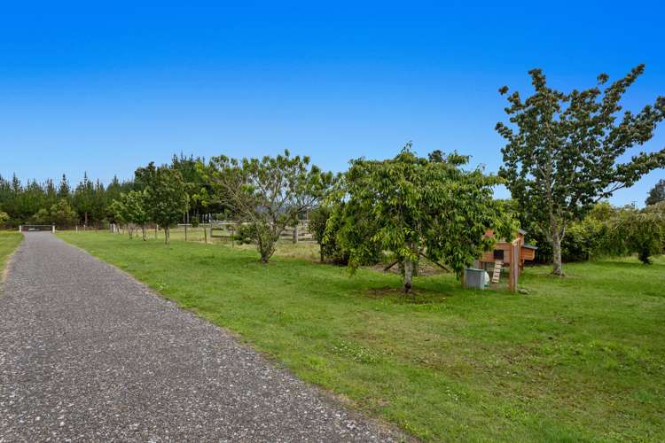 493 Grieve Road Te Teko_24