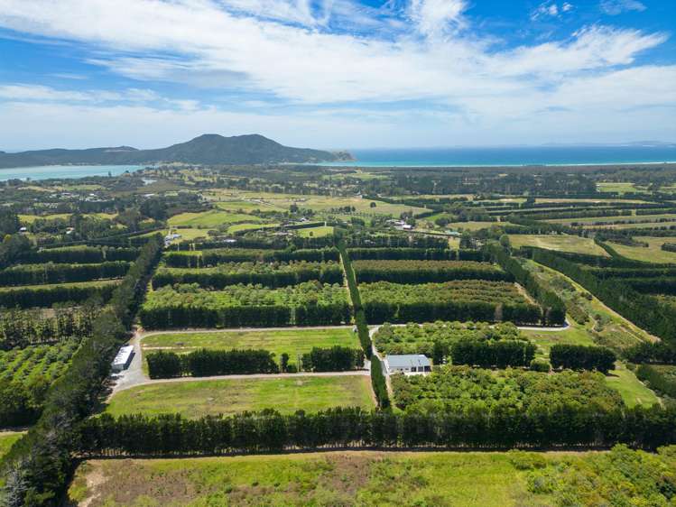 100 Whalers Road Pukenui_3