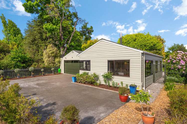 43B Murphys Road Springlands_13