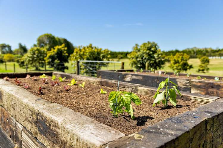 390 Hereford Road Oropi_25