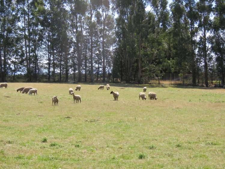 1298 Stanley Road Elgin_21