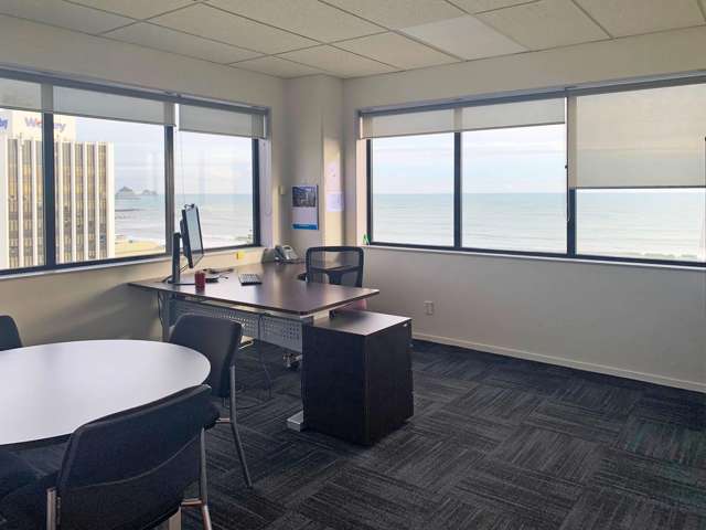 54 Gill Street New Plymouth_2