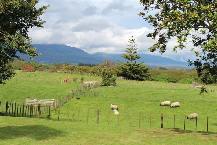 2289 South Road Okato_10