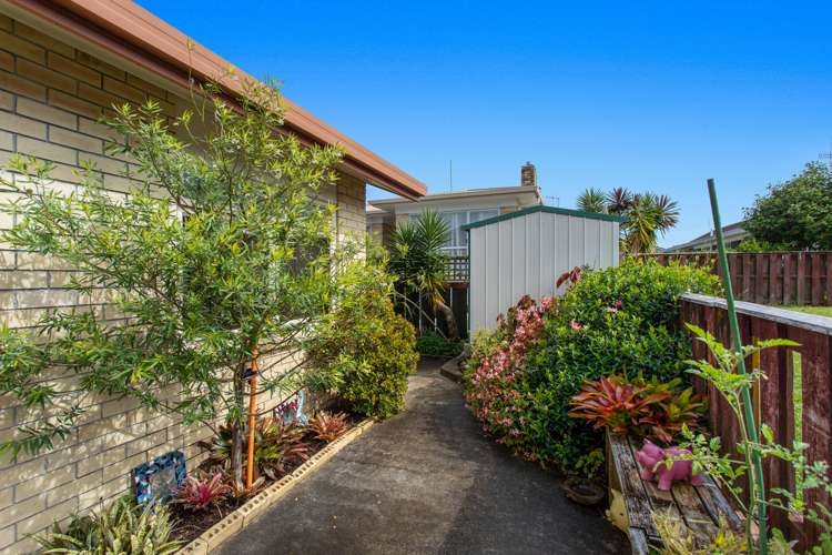 34 James Street Whakatane_20