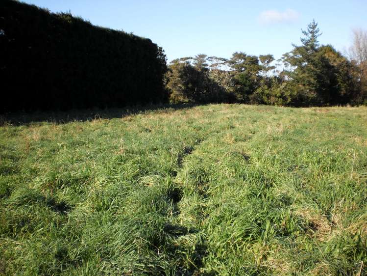 117 Rea Road Hauraki Surrounds_7