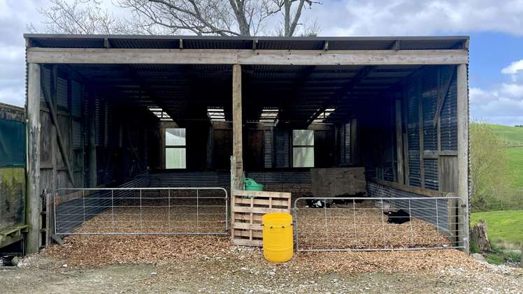 77 Parker Road Wellsford_7