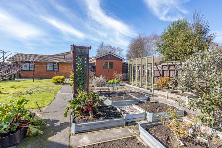 95 Momorangi Crescent Redwood_17