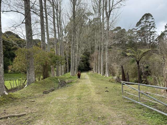 - Waioeka Pa Road Opotiki_1