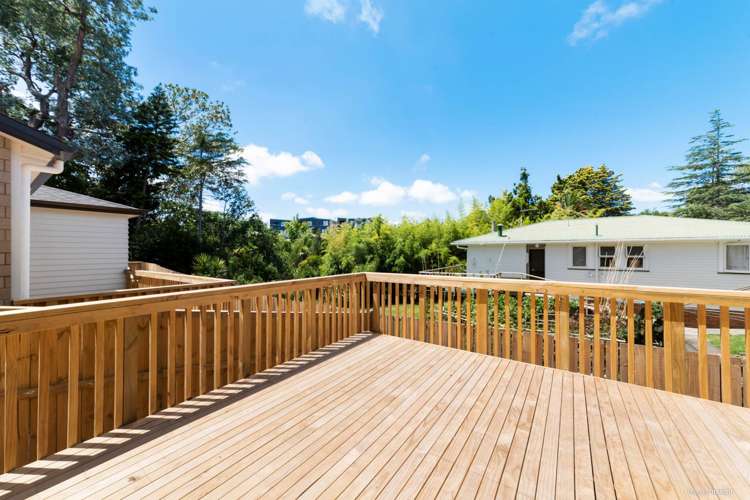 21a Hutchinson Avenue New Lynn_16