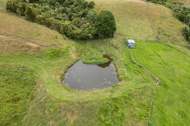 2217 Tairua-Whitianga Road Coroglen_5