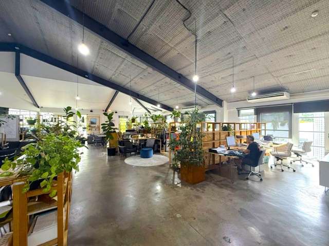 21 Scanlan Street Grey Lynn_1