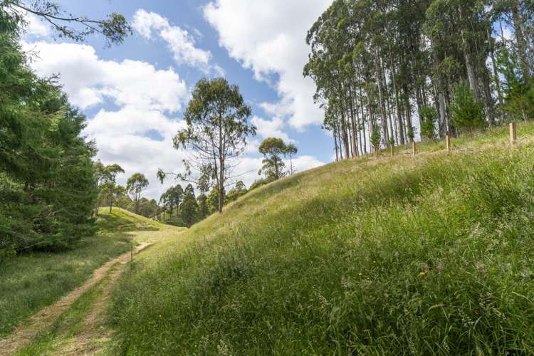 173A Otake Road Kinloch_13