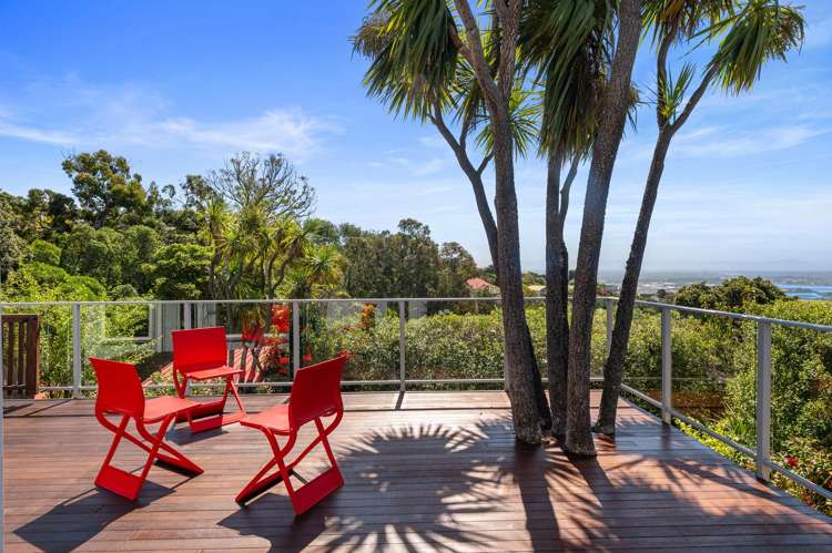 205 Mount Pleasant Road Mount Pleasant_5