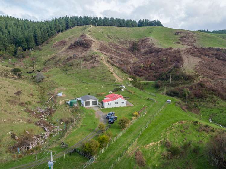 579 Jacksons Line Mauriceville_21