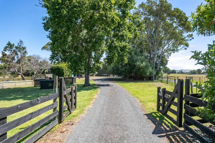 800 Tiki Road, SH25 Coromandel_5