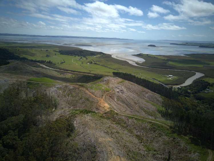 3716 KAIPARA COAST HIGHWAY Kaipara Flats_5