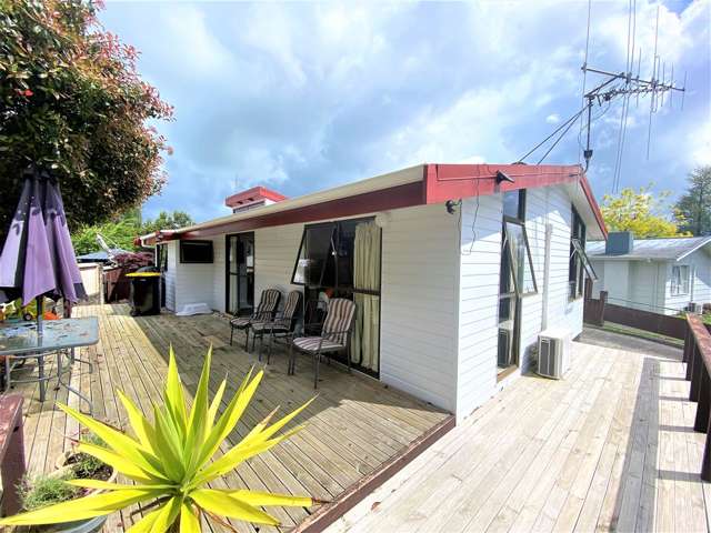 145 Colgan Street Te Awamutu_3