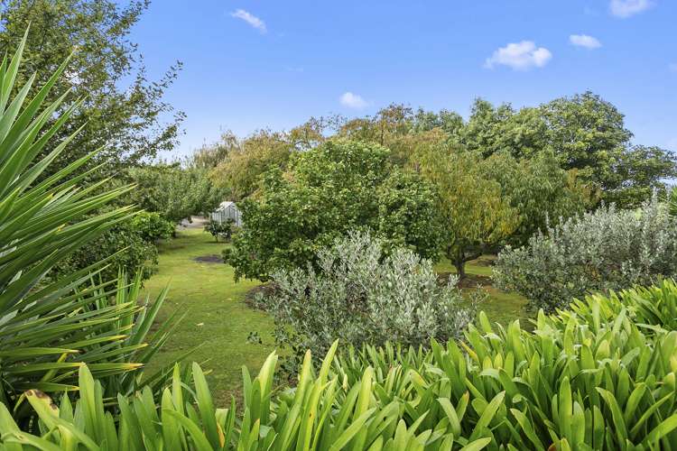 289 Kakepuku Road Te Awamutu_7