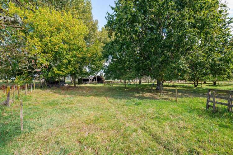 6 Seddon Road Puketaha_19