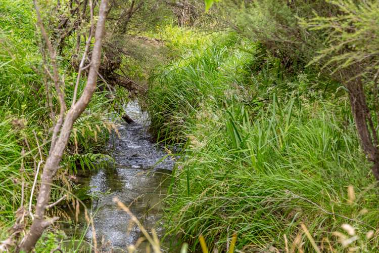 671 Saunders Road Tiraumea_6