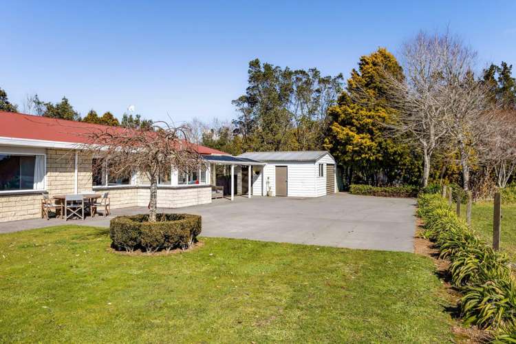 389 Wortley Road Inglewood_3