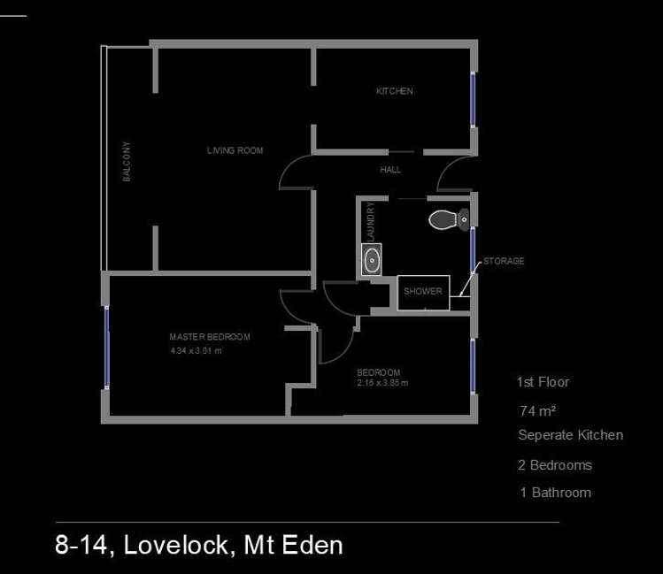 8/14 Lovelock Avenue Mount Eden_11