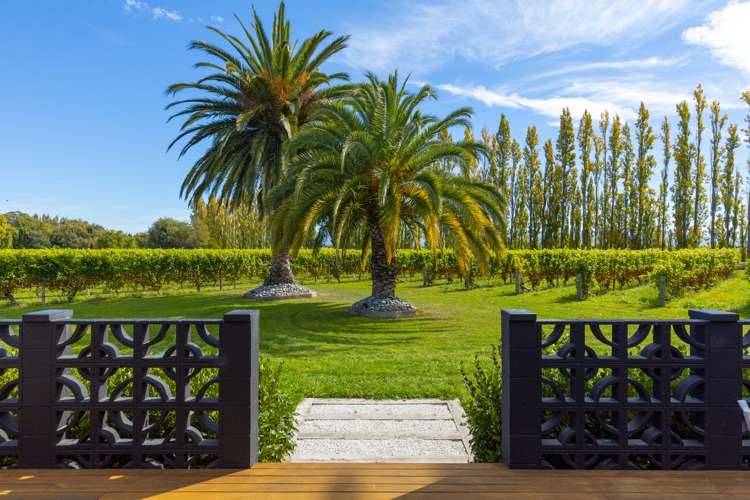 Alabama Road Riverlands_21