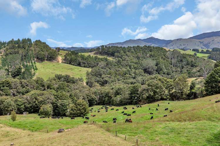 Pipiwai Road Purua_6