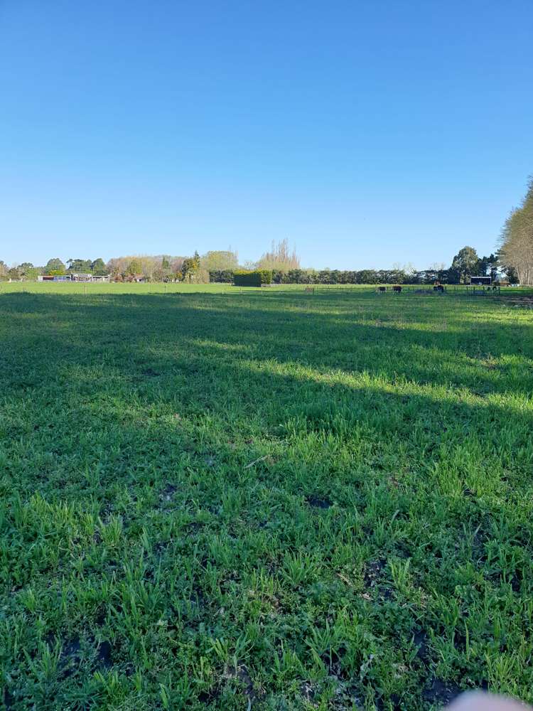 148 Butchers Road Clarkville_20