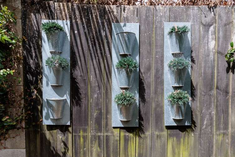 28B Edmund Street St Heliers_13