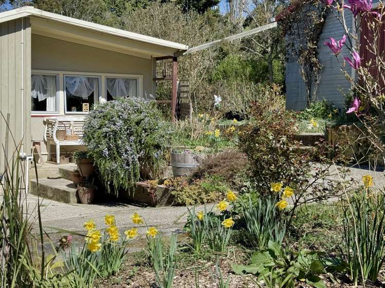 669 Whitstone-Five Forks Road Five Forks and Surrounds_3