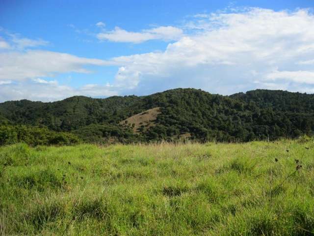 Waiotoi Road Ngunguru_3