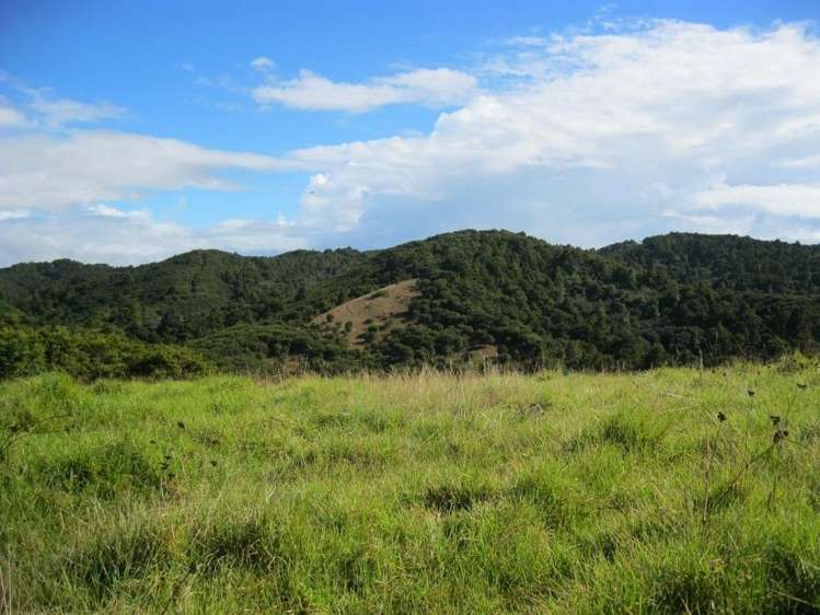 Waiotoi Road Ngunguru_3