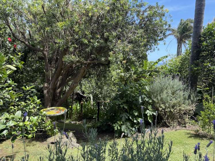 42 Tasman Heights Ahipara_35