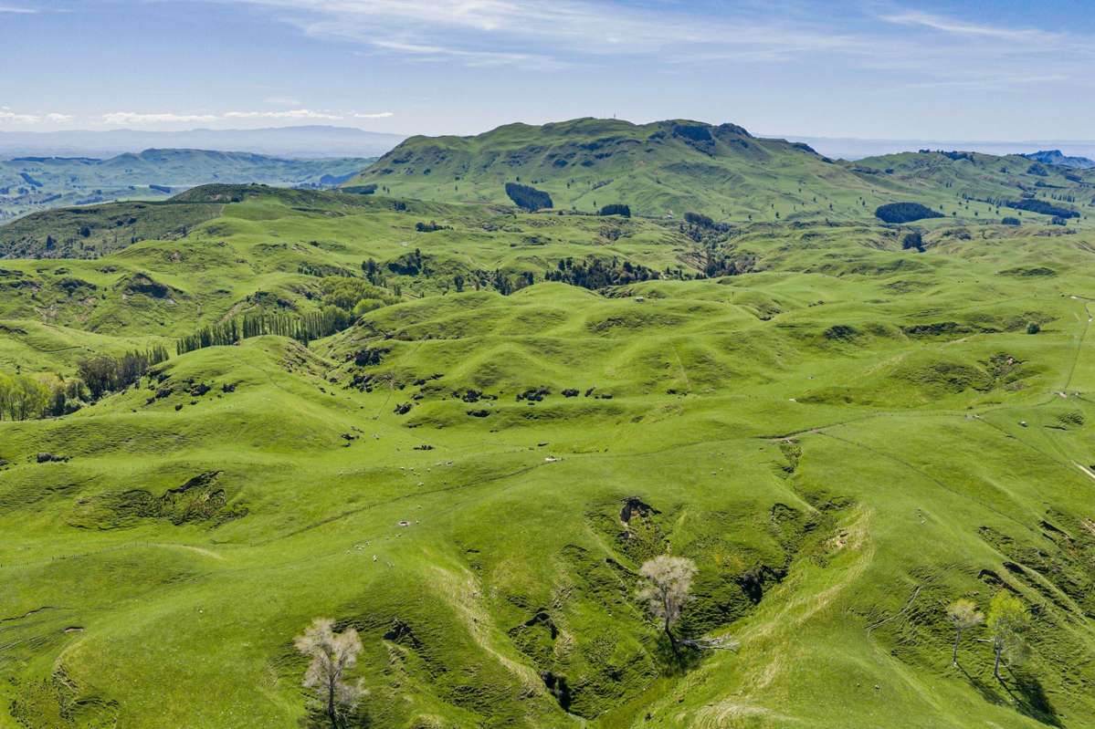 1262 - 1520 Maraetotara Road_0