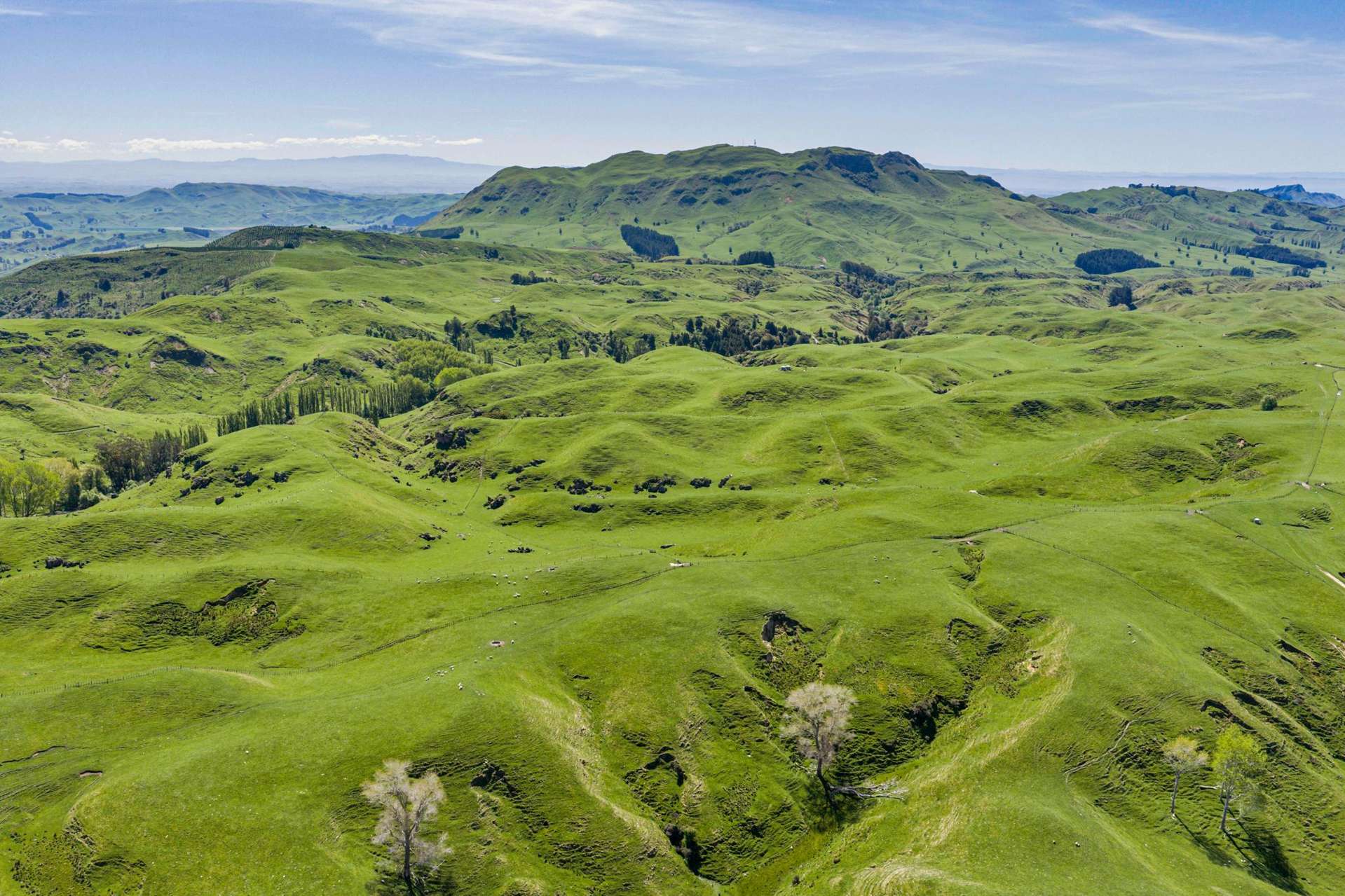 1262 - 1520 Maraetotara Road Waimarama_0