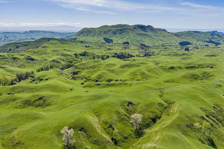 1262 - 1520 Maraetotara Road Waimarama_0