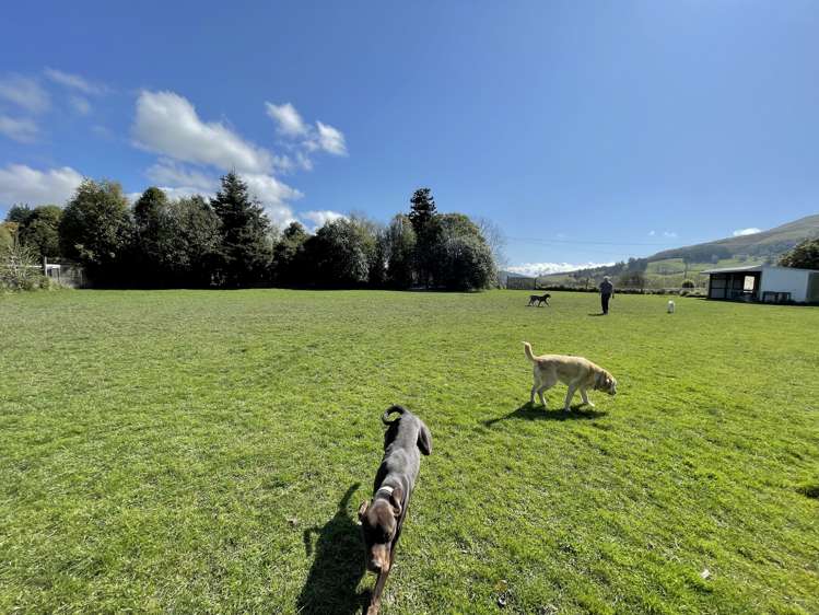 23 Goodwood Road Palmerston_13