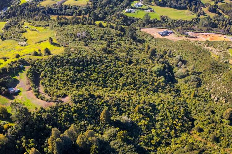 25 Masons Road East Tamaki Heights_7