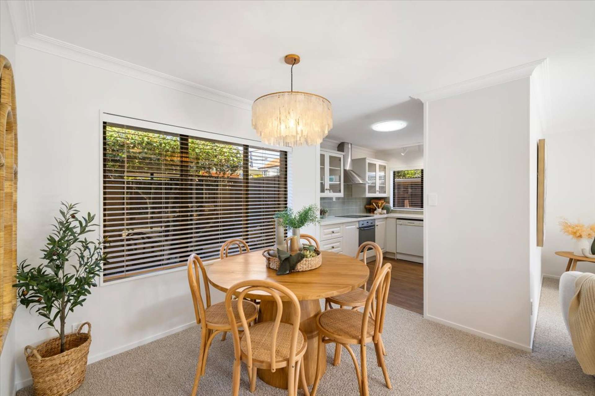 17B Selwyn Street Tauranga_0