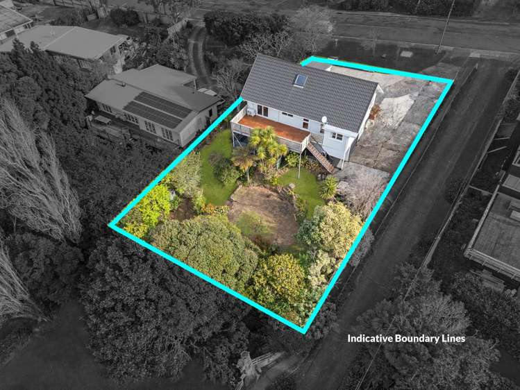 52 Carlton Street Hillsborough_52