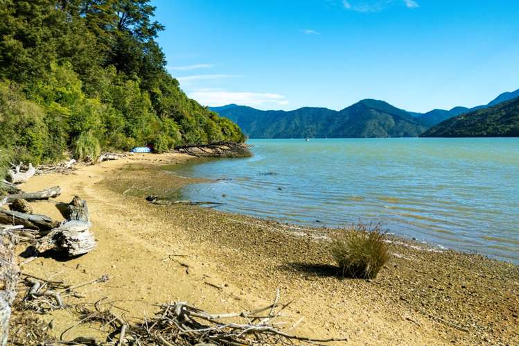 780 Queen Charlotte Drive Havelock_11