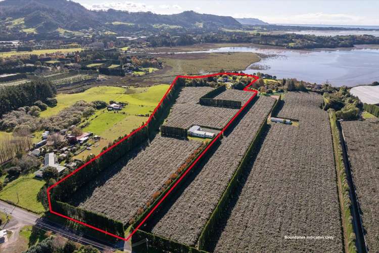 115 Tuapiro Road Tahawai_6