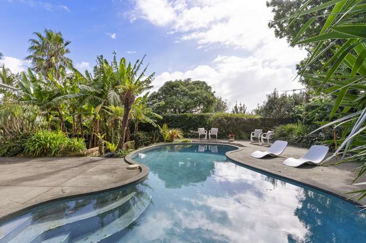 7 Birdwood Crescent Parnell_27