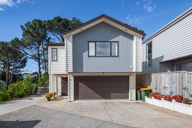 73a Granville Drive Massey_1