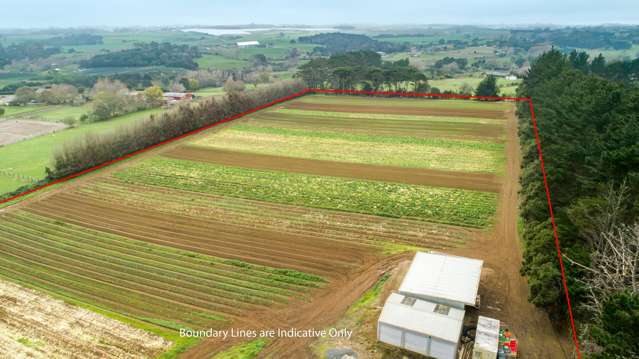MARKET GARDEN or ORCHARD