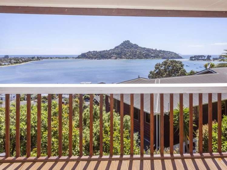 12 Pine Grove Tairua_14