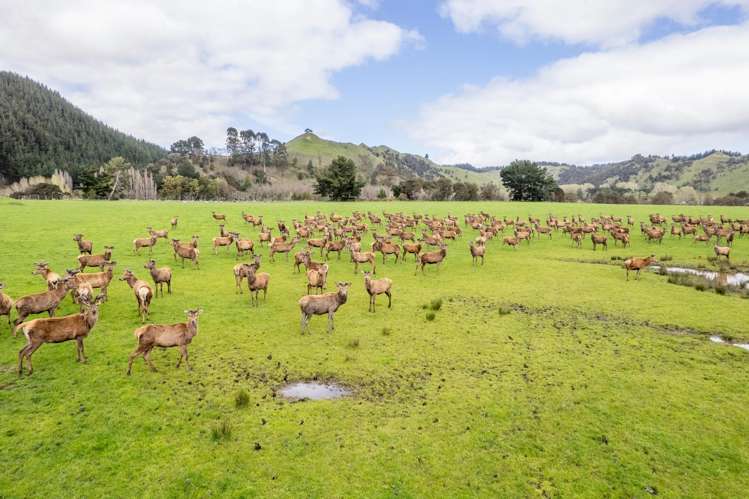 1471 Mangamahu Road Mangamahu_5