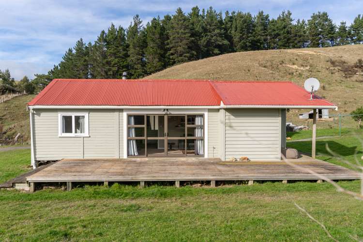 579 Jacksons Line Mauriceville_5