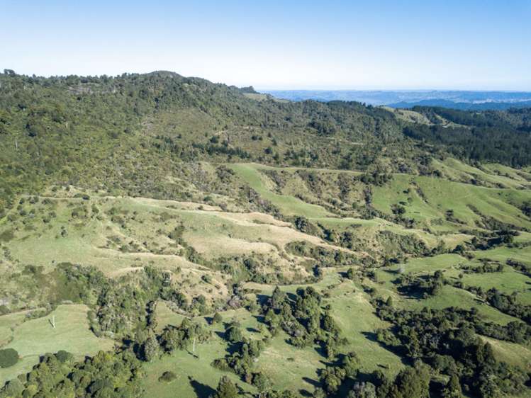 Kaitieke Road Owhango_5